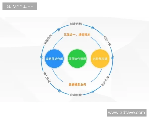 南京与成都排球队赛后复盘团队协作的成功与不足分析 南京与成都排球队赛后复盘团队协作的成功与不足分析