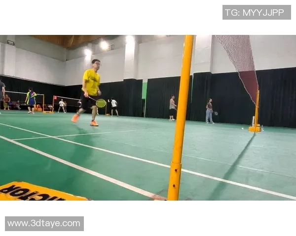 武汉羽毛球队比赛经验分享与成长之路探讨