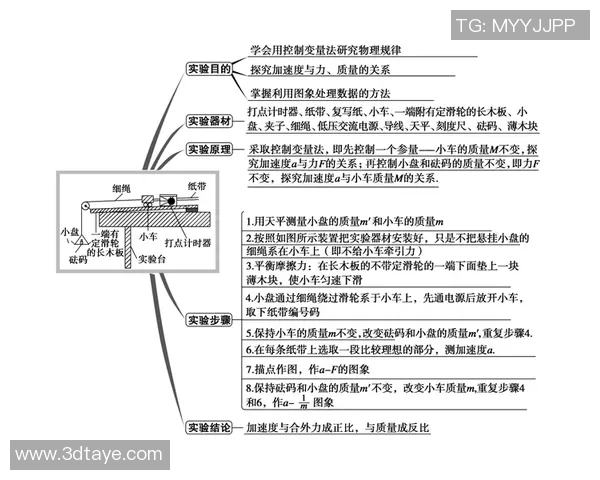 西安排球队的速度分析与战术应用探讨