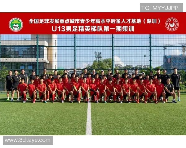 足球明星的不足之处解析及其对球队表现的影响探讨