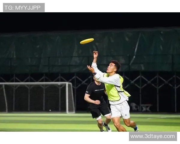 飞盘配合排行榜：武汉飞盘队位居第7名