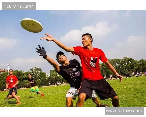 2026飞盘个人能力排行榜:杭州飞盘队位居第7名 2026飞盘个人能力排行榜:杭州飞盘队位居第7名